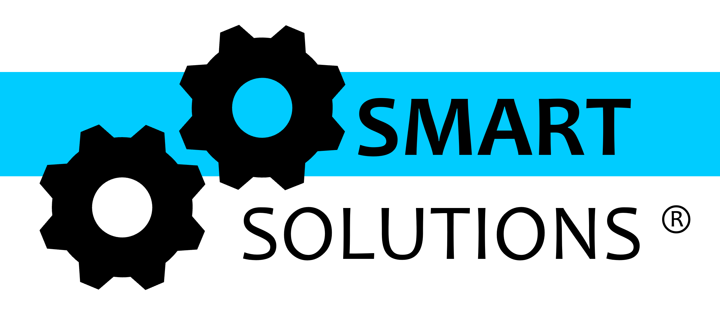 Logo SMART SOLUTIONS